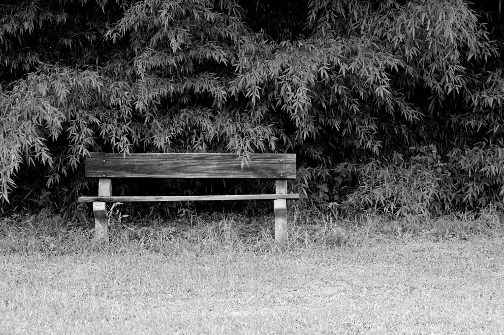 Heads Bent, Hearts Apart: The Social Cost of Our Device&nbsp;Dependence